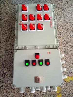 BXD53-6/40K125防爆开关配电箱 为工业安全供电的卓越解决方案